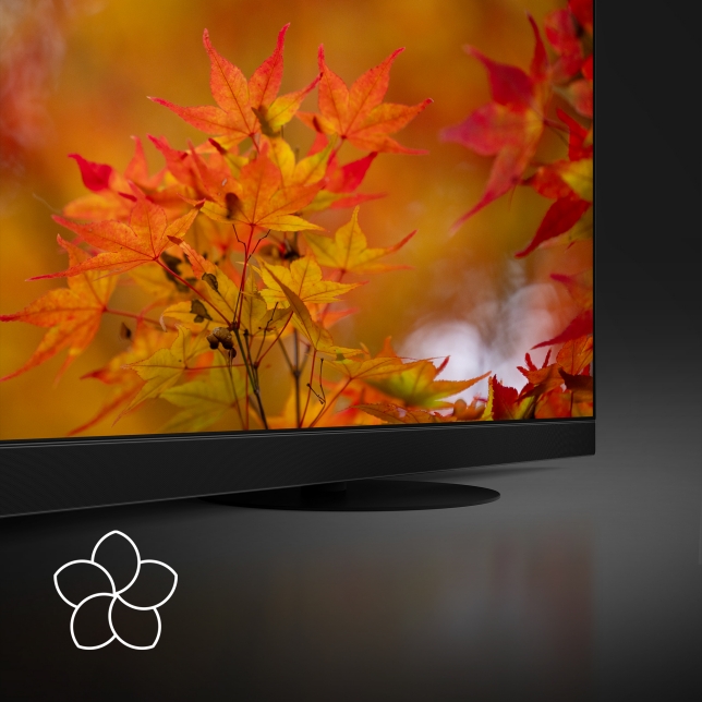 Un design moderne pour un bien-être harmonieux